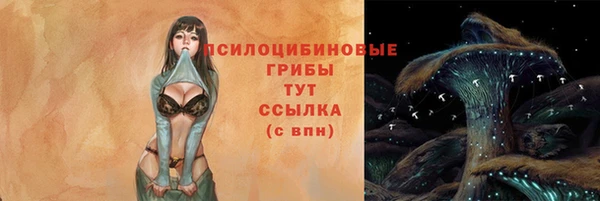 альфа пвп Надым