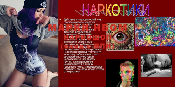 тгк Бронницы